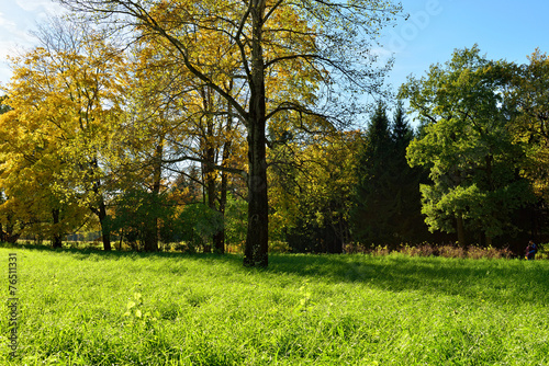 Autumn sunny landscape with in Pushkin garden.