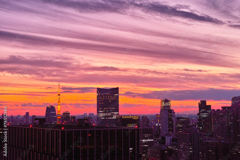 Obraz premium 東京中心街の夕景