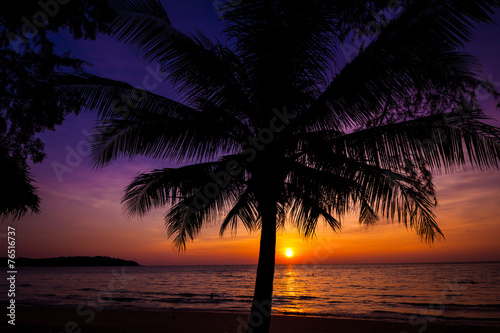 Beautiful sunset over the sea with a view at palms on the beach © EwaStudio