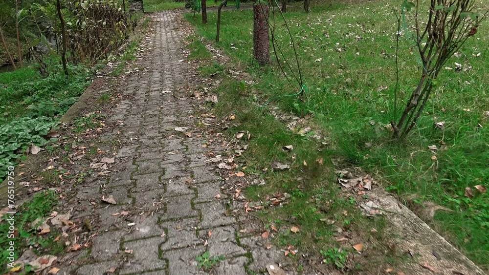 walking along a path with autumn leaves in the forest walking along a path with autumn leaves in the forest