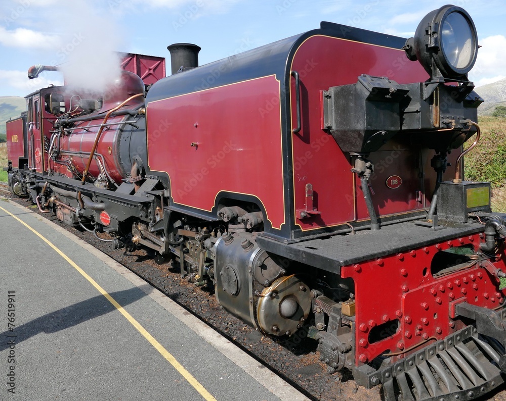 Naklejka premium steam train