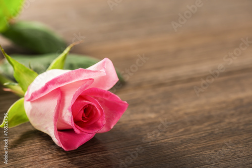 Rose.Empty wooden table.