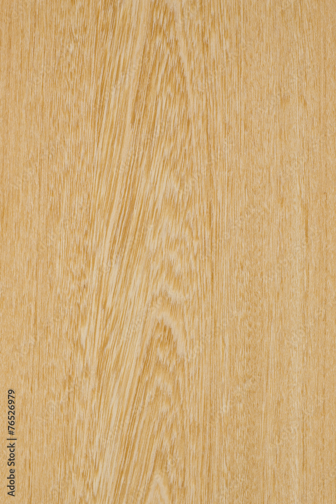 Naklejka premium シロタガヤの板