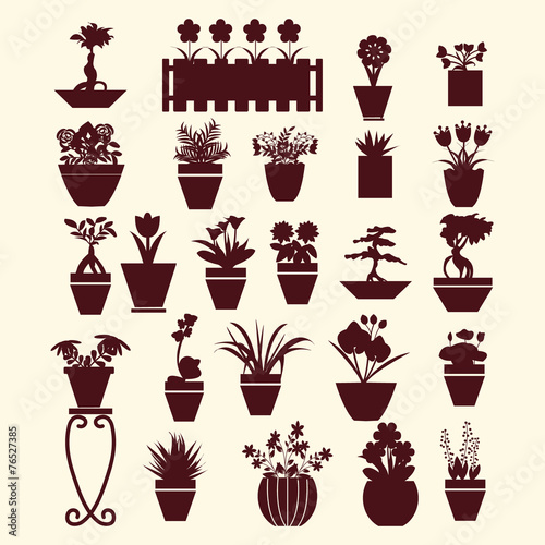 pot plants  garden flowers  and  herbs