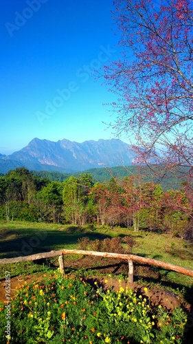 Obraz na płótnie Doi luang chiang dao mountain at chiangmai thailand
