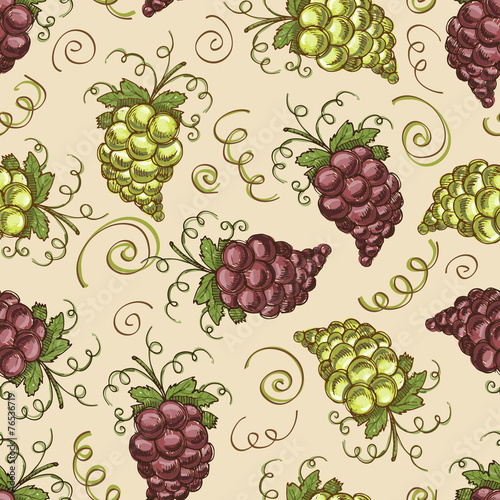 Vector pattern with hand drawn grapes of different sorts