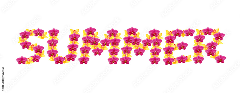 The word Summer spelt out with orchid flowers isolated on white The word Summer spelt out with orchid flowers isolated on white