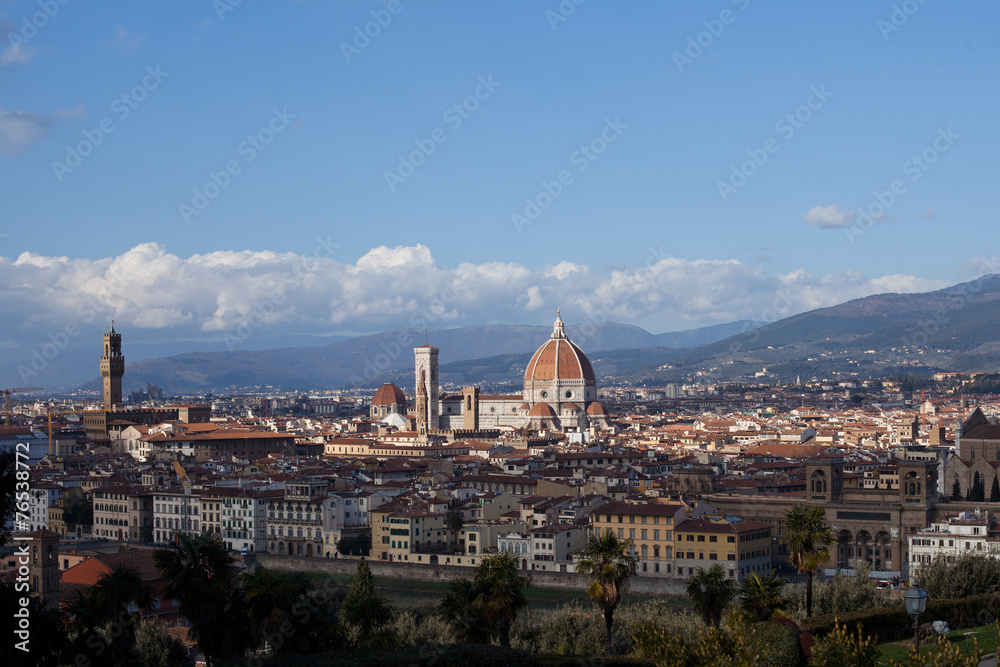 Florence: Panorama