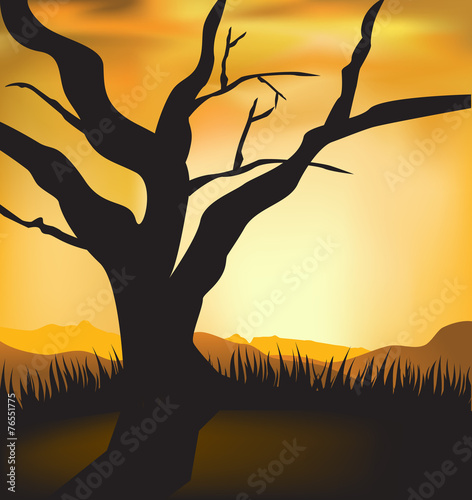 vector sunset  landscape background