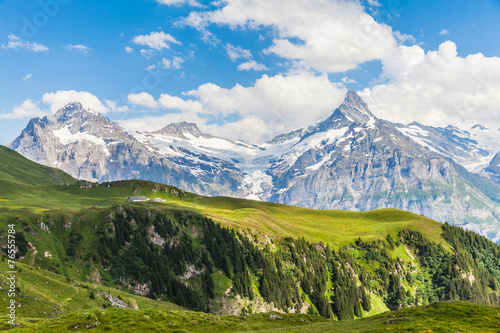 View of Schreckhorn  swiss alps