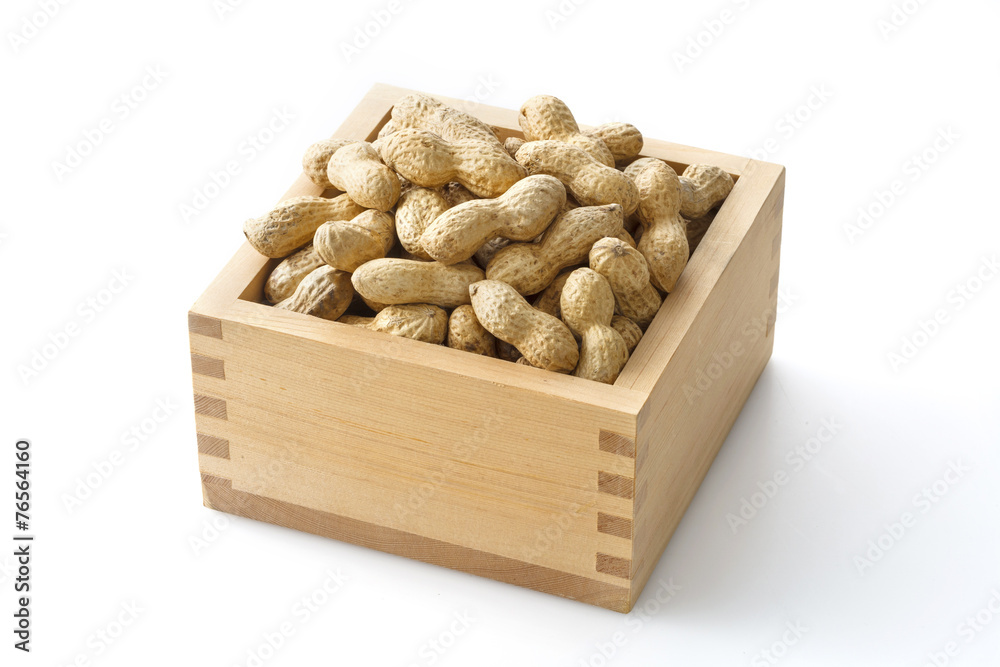 落花生　節分　peanut
