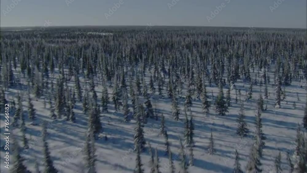Frozen Tundra Frozen Tundra
