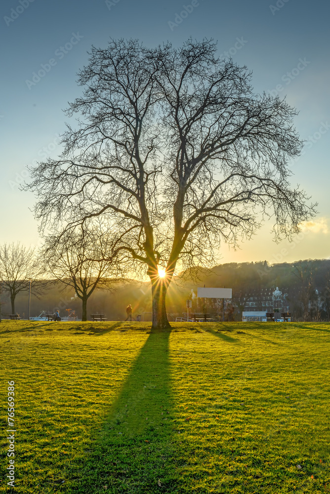 Obraz premium Landscape