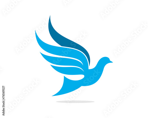Dove
