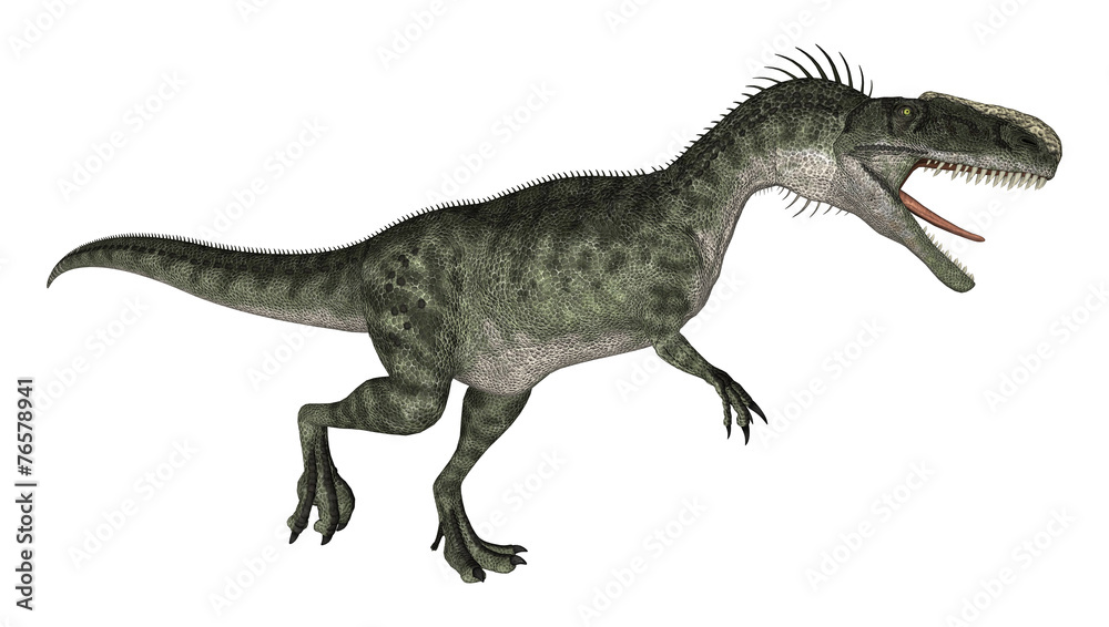 Dinosaur Monolophosaurus Dinosaur Monolophosaurus
