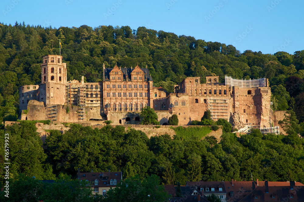 Schloss Heidelberg im Grünen