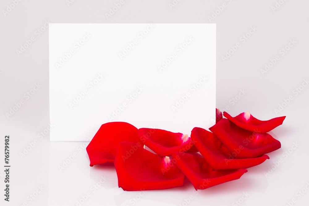 Fototapeta premium Red rose petals and white sheet of paper