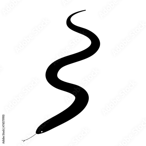 snake vector