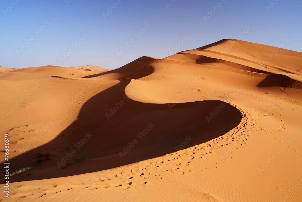 Morocco. Sand dunes of Sahara desert - obrazy, fototapety, plakaty 
