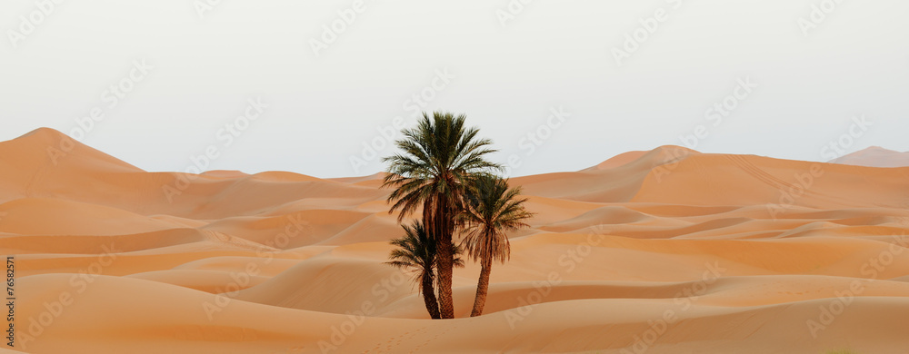 Fototapeta premium Maroko. Wydmy pustyni Sahara