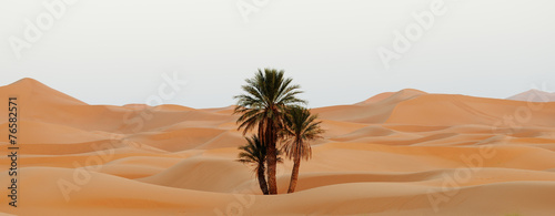 Morocco. Sand dunes of Sahara desert © Alexmar