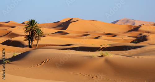 Print op canvas Morocco. Sand dunes of Sahara desert