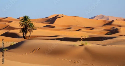 Obraz Maroko. Wydmy Sahary