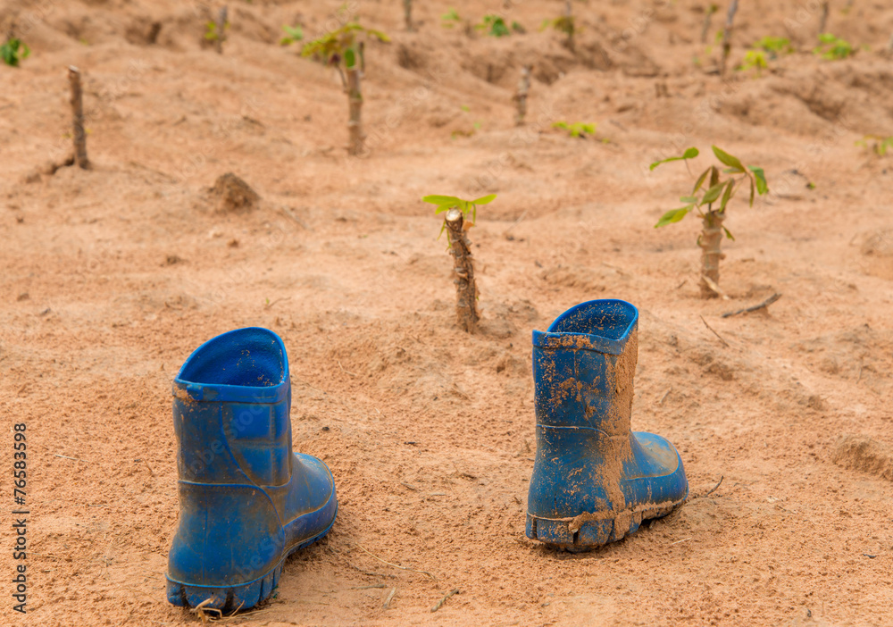 Pair of dirty boots covered in mud in cassava farm Pair of dirty boots covered in mud in cassava farm