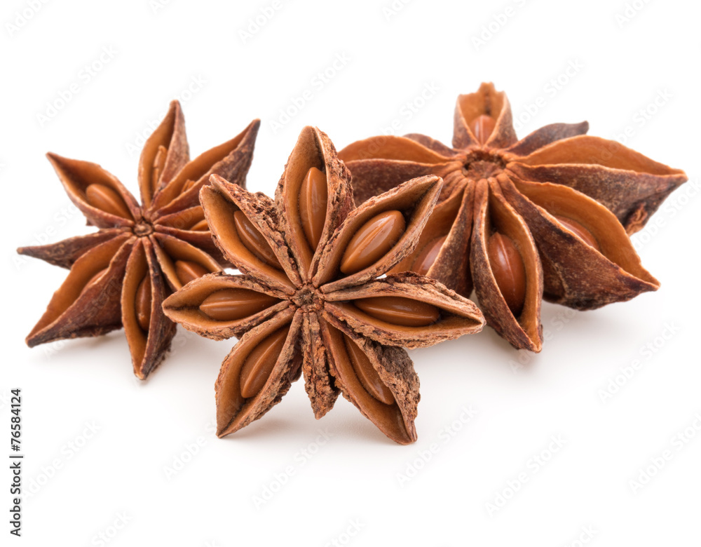 Star anise spice fruits and seeds isolated on white background c Star anise spice fruits and seeds isolated on white background c