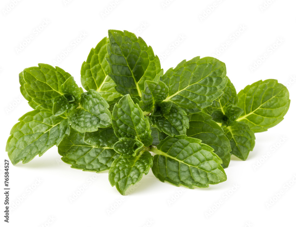 Fresh mint herb leaves isolated on white background cutout Fresh mint herb leaves isolated on white background cutout