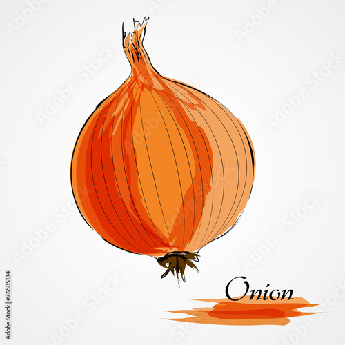 Onion