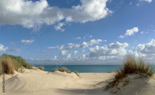 Fototapeta Naklejka Na Ścianę i Meble -  Landscape of a beautiful lonely beach in Cadiz, Spain