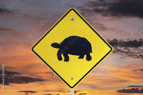 Desert Tortoise Crossing Si...