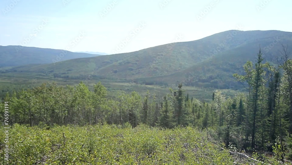 Alaska Trees River Forrest Spring Alaska Trees River Forrest Spring