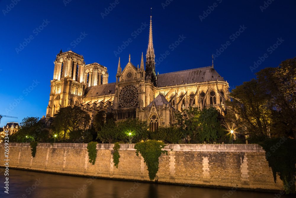 Fototapeta premium Notre Dame cathedral in Paris