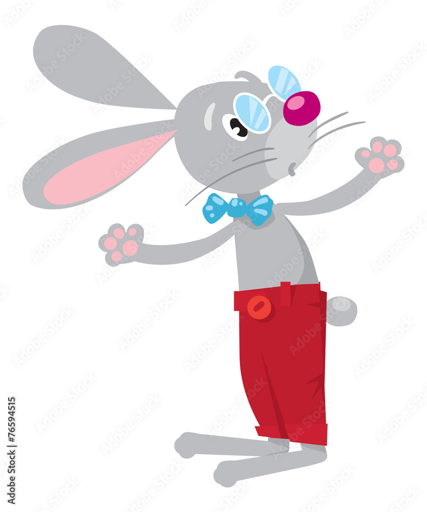 Obraz premium Funny rabbit