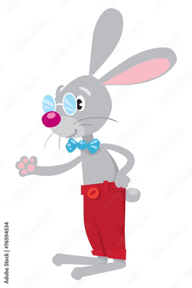 Obraz premium Funny rabbit