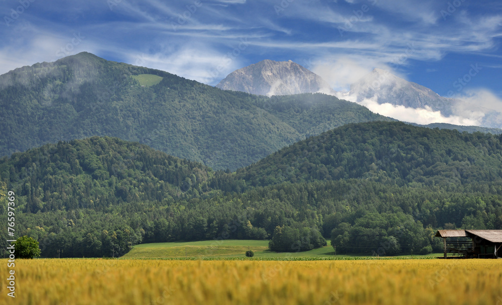 Fototapeta premium Gorenjska landscape, Slovenia