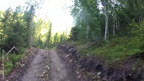 Alaska Forrest ATV photo