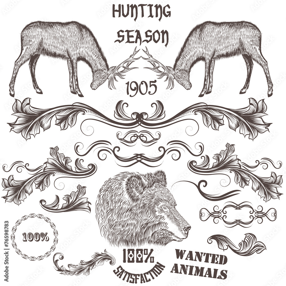 Fototapeta premium Collection of vector hand drawn animals and floral swirls for de
