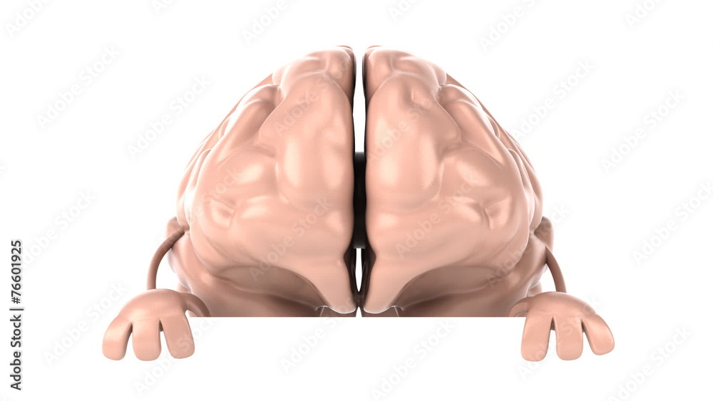 Fun brain