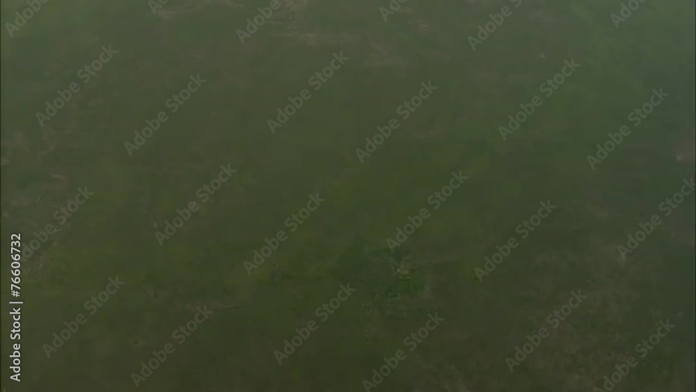 Grasslands Plain Prairie Grasslands Plain Prairie