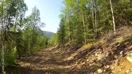 Alaska Forrest ATV photo