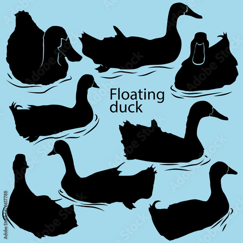 silhouettes floating ducks