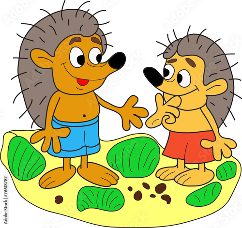 Two hedgehog.