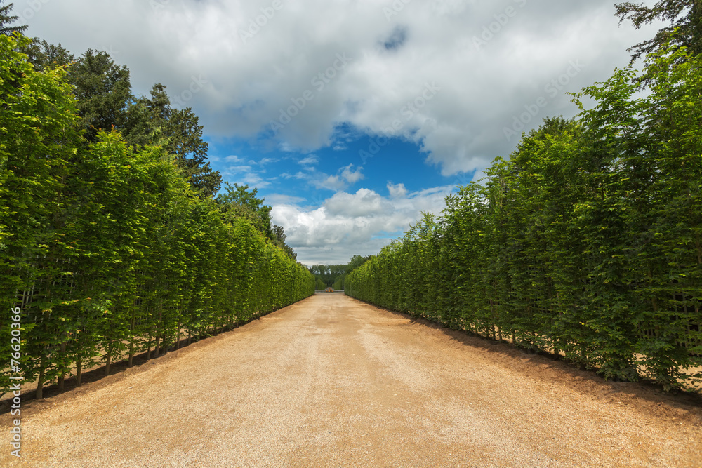 Beautiful garden in Versailles palace, Paris, France Beautiful garden in Versailles palace, Paris, France