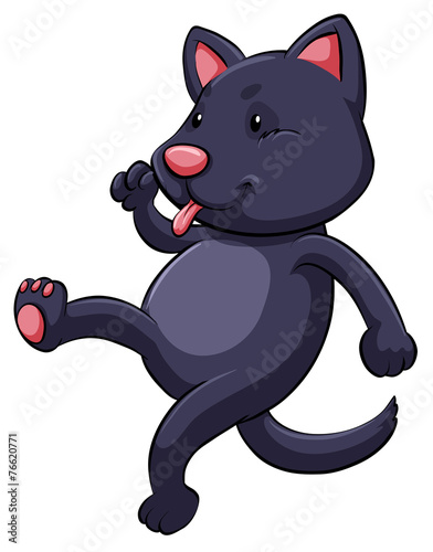 A playful cat
