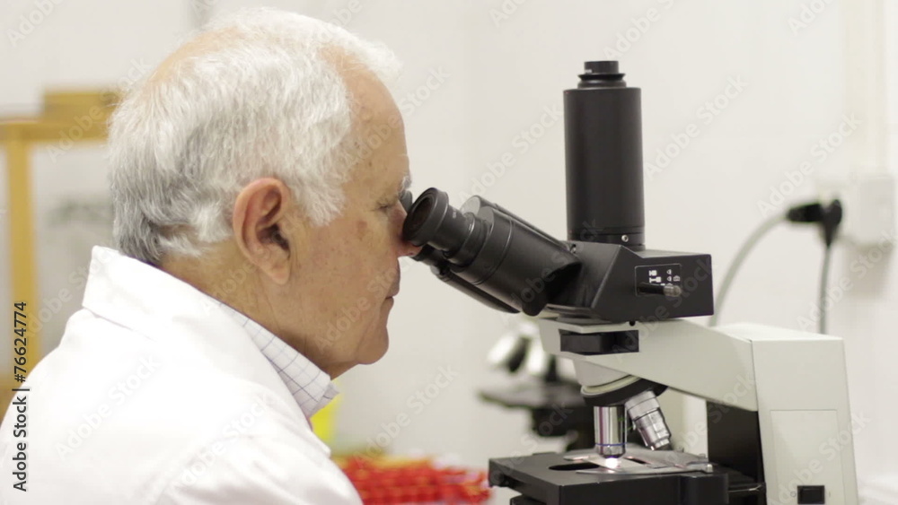 clinical laboratory analysis clinical laboratory analysis