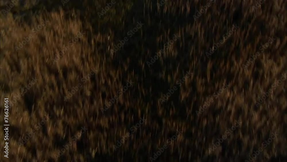 Aerial Marshlands Delta Aerial Marshlands Delta