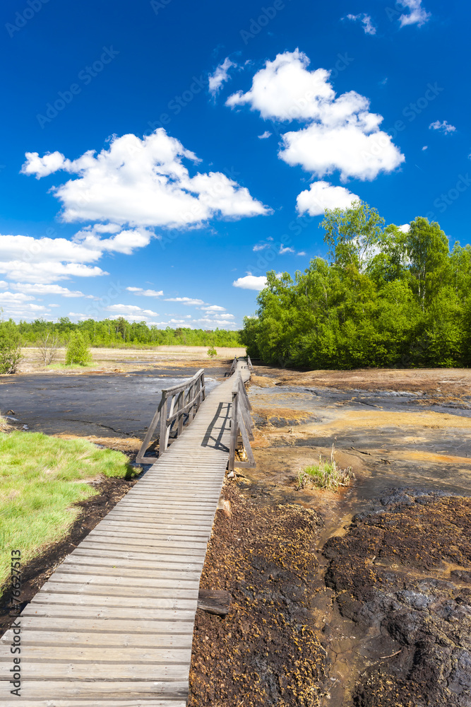 nature reserve called Soos, Czech Republic